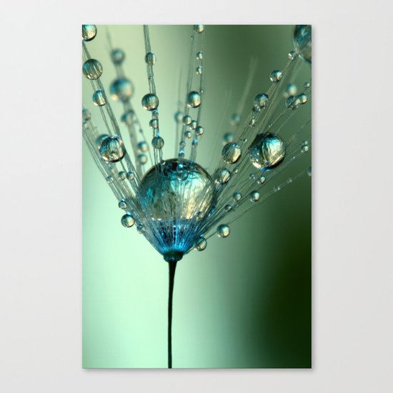 Touch of Blue Canvas Print