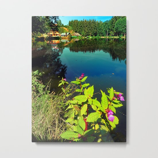 End of summer at the pond Metal Print