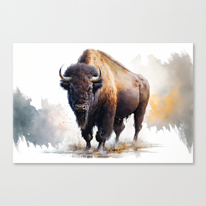 Buffalo  Canvas Print