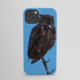 Wise Owl at Dusk iPhone Case