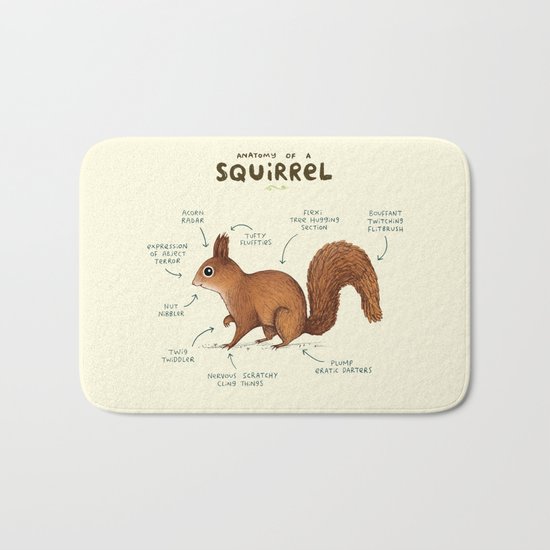 Anatomy of a Squirrel Bath Mat