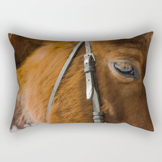 HORSE EYE Rectangular Pillow