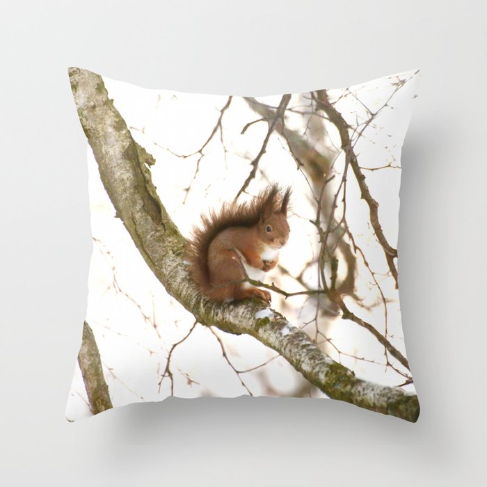 Little Squirrel On The Branch - Autumn Scene #decor #society6 #buyart Throw Pillow