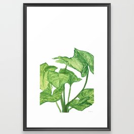 Arrowhead Green Framed Art Print