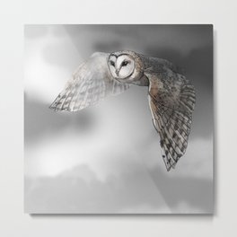 flying owl (tyto alba) Metal Print