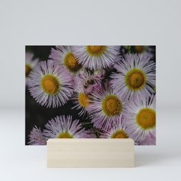 Purple Flowers Mini Art Print