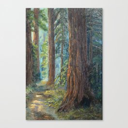 Big Basin Redwood Grove, California landscape painting by Leonora Naylor Penniman Canvas Print