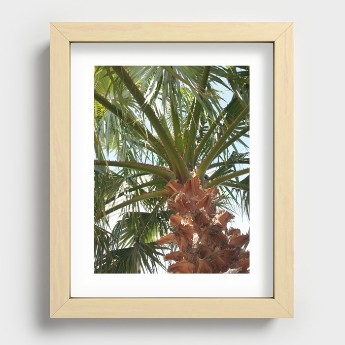 Tropical Palm Tree Recessed Framed Print