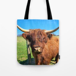 Dolly Scottish Highland Cow Tote Bag