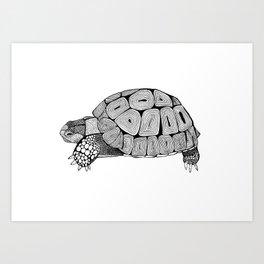 Black and White Tortoise Art Print