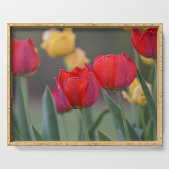 tulips Serving Tray