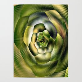Abstract flower  Poster