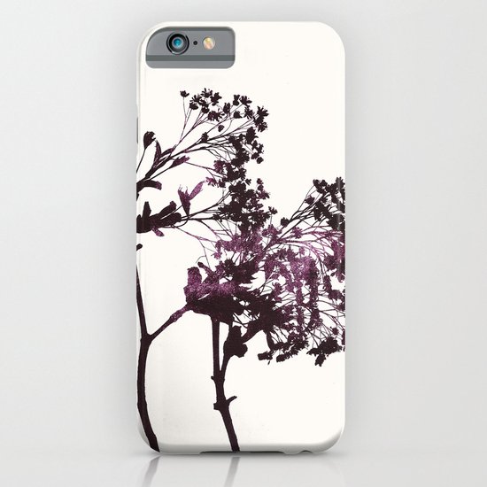 sugar maple 1 iPhone & iPod Case
