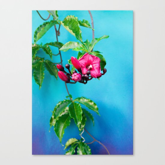 Tropical Blue 4 Canvas Print