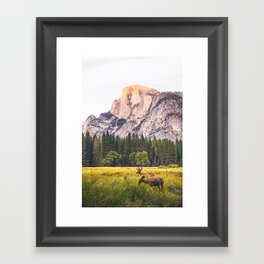 Mountain National Park Framed Art Print
