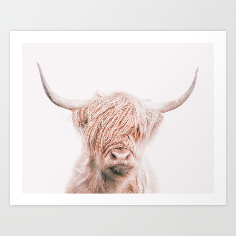 Boho Pink Shaggy Cow Art Print By Boholove Society6