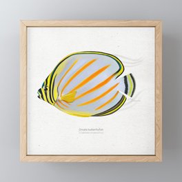 Ornate butterflyfish scientific illustration art print Framed Mini Art Print