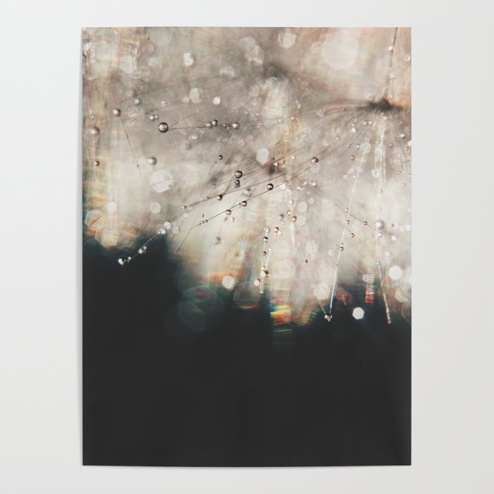 Dandelion Silver and Black rainbow sparkle Poster