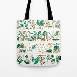 Digitally enhanced School and family charts, No. XXII. Botanical: economical uses of plants  Tote Bag