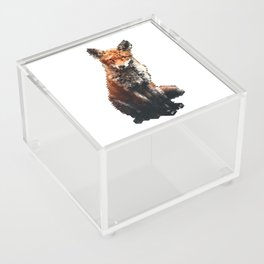 Low Poly Fox Design Acrylic Box