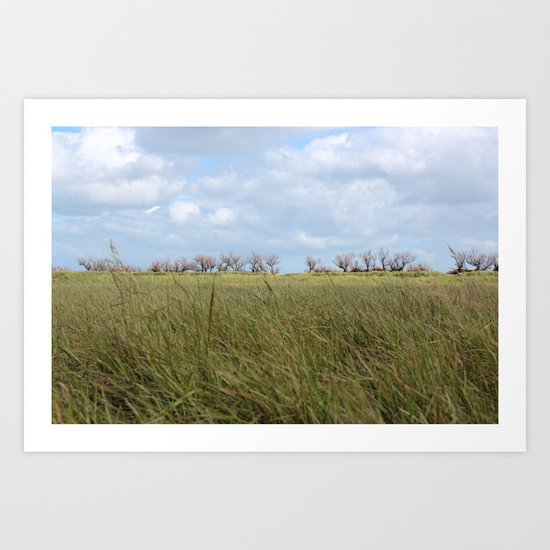 A grass land Art Print