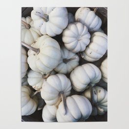 White Mini Pumpkins Poster