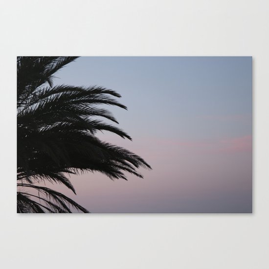 palmtree at sundown, aeolian islands Canvas Print
