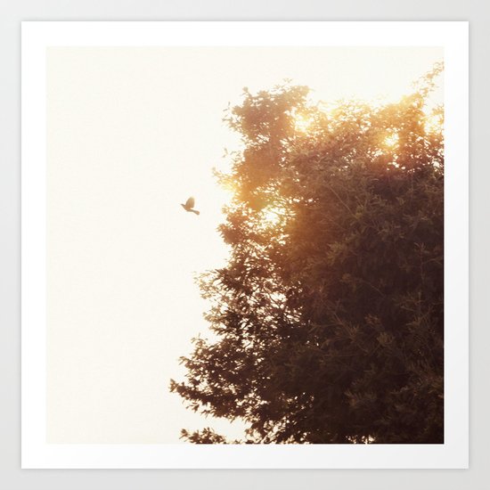 Nuevo amanecer Art Print