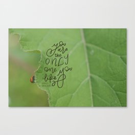 You Are The Only LadyBug Canvas Print