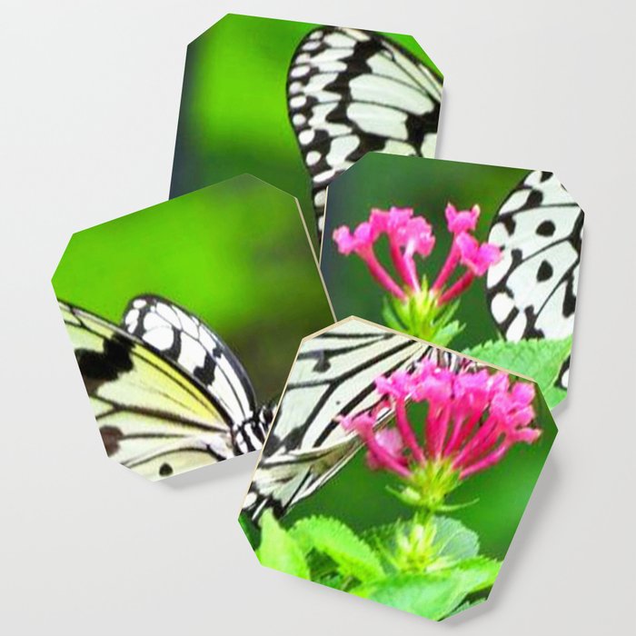 Butterfly and Pink Flowers Coaster