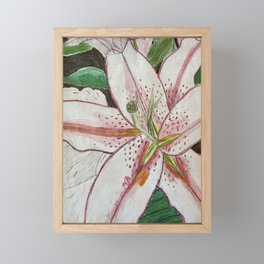 Waterlily  Framed Mini Art Print