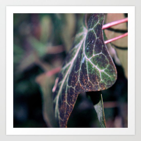 Cosmic Art Print