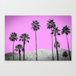 Pink Palm Trees / Desert / Palm Springs Canvas Print