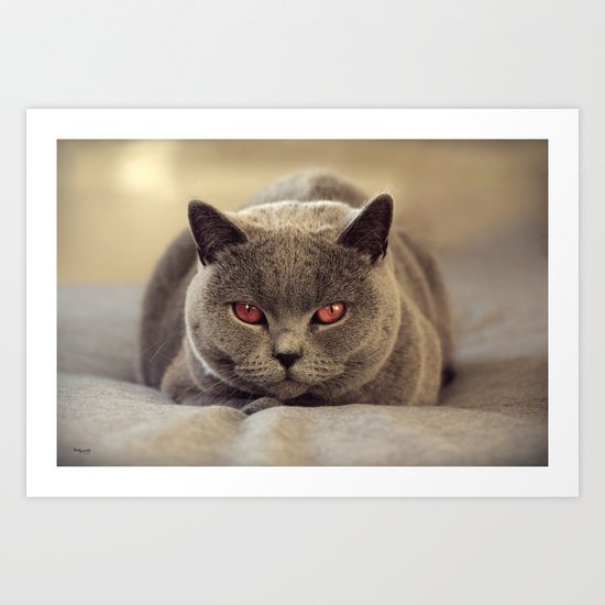 Superstar Diesel the Cat ! Art Print