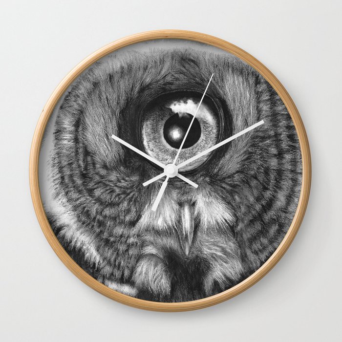 Evolution: Great Gray Owl Wall Clock
