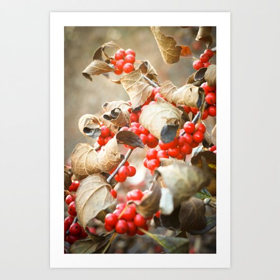 Winter Berries Art Print