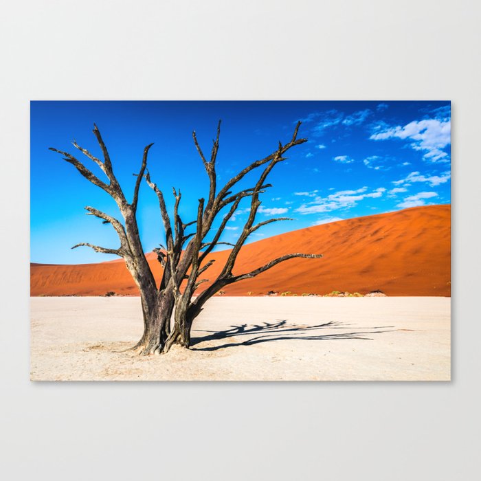 Dead tree in Deadvlei, Namibia Canvas Print