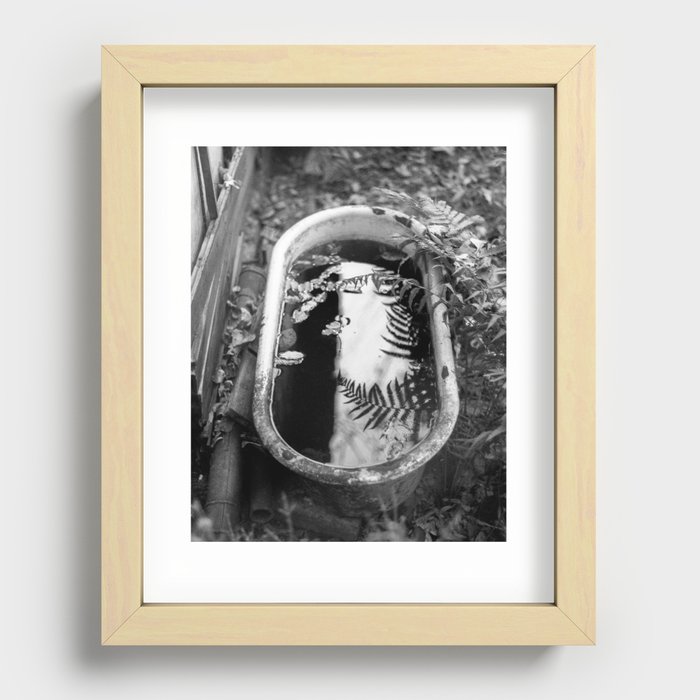 Dark Water and Ferns | Film BW Photo Print Recessed Framed Print