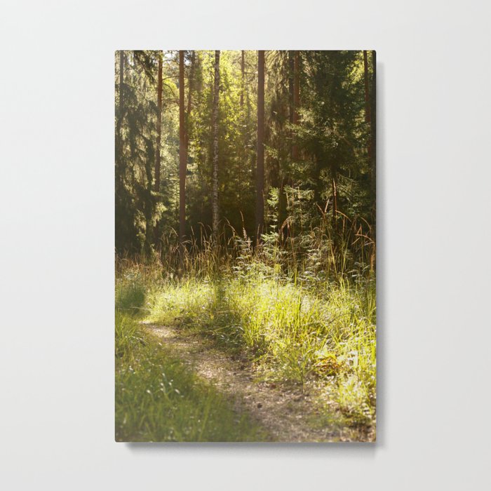 Forest Path Sunny Day #decor #society6 #buyart Metal Print