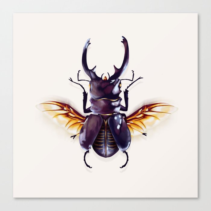 Stag Beetle Canvas Print