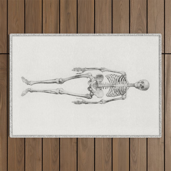 Human Skeleton, Anterior View Outdoor Rug