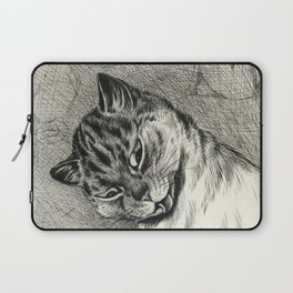 'Don't Mind Me, It's Washing Day' by Louis Wain Laptop Sleeve