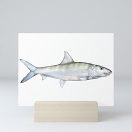 Bonefish Mini Art Print