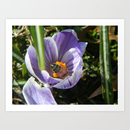 Spring Has Sprung Art Print