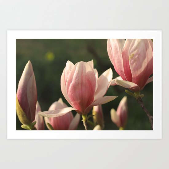 Three Graces Art Print