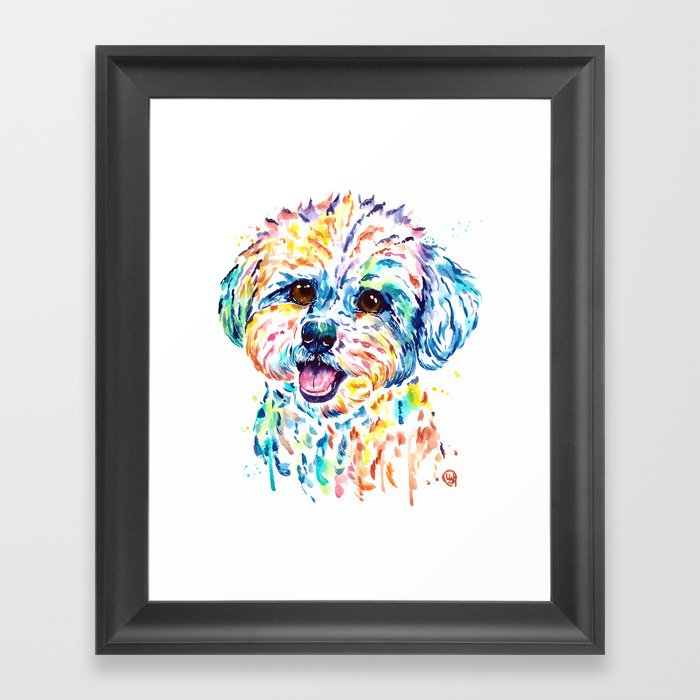 Bichon Frise Watercolor Painting by Lisa Whitehouse Framed Art Print