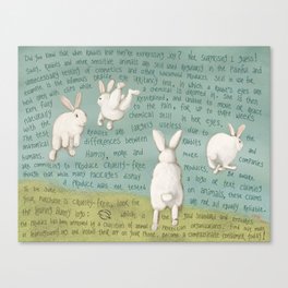 Rabbits Canvas Print