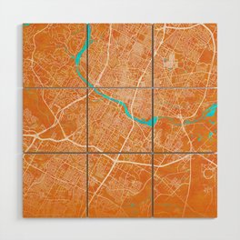 Austin, TX, USA, Gold, Blue, City, Map Wood Wall Art