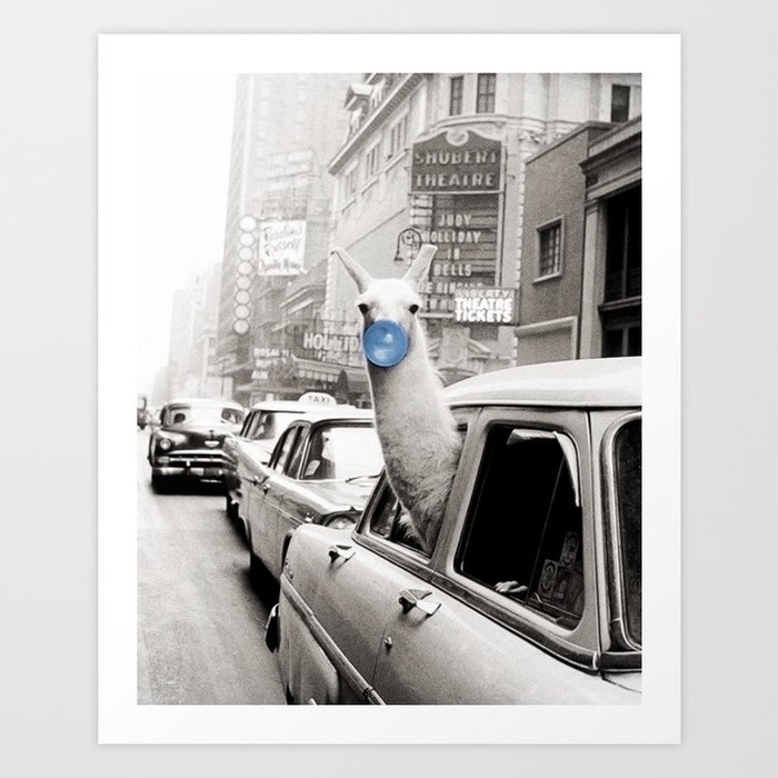 Yummy Blue Bubble Gum Llama taking a New York Taxi black and white photography Art Print