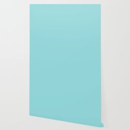 Light Aqua Blue Solid Color Pantone Limpet Shell 13-4810 TCX Shades of Blue-green Hues Wallpaper